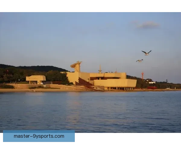 南安普顿足球俱乐部百年沉浮与英超逐梦传奇之路再起航风云史全景纪